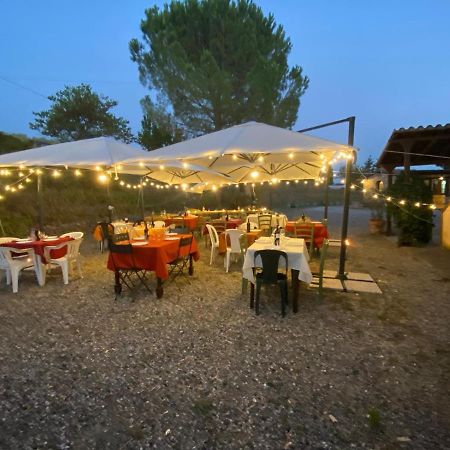 Podere Ripabianca Riparbella Bagian luar foto