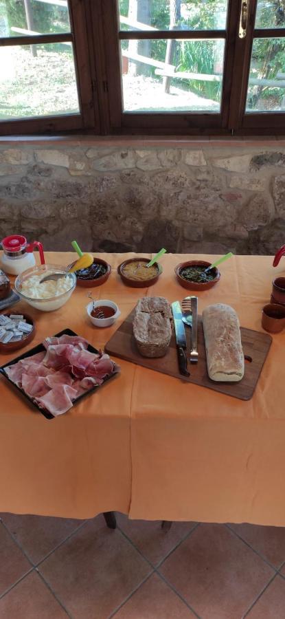 Podere Ripabianca Riparbella Bagian luar foto